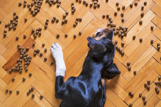 What Supplements Do I Add to Homemade Dog Food for Optimal Nutrition?