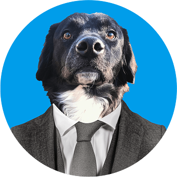 Miller CEO
