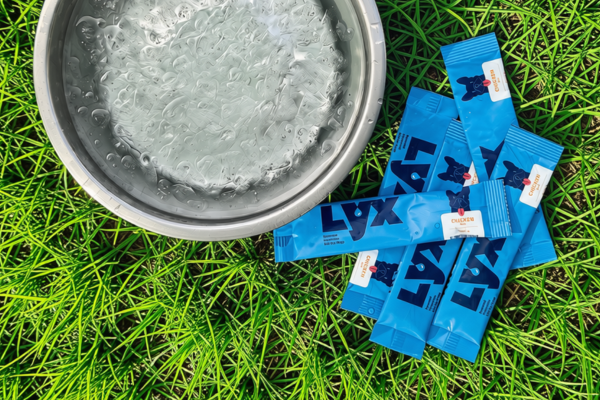 Morrison Seger-Backed LYX Hydration Names CPG Veterans to Lead Next Phase of Growth